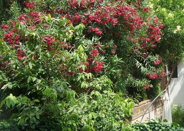 Melusina Homes Historical Center